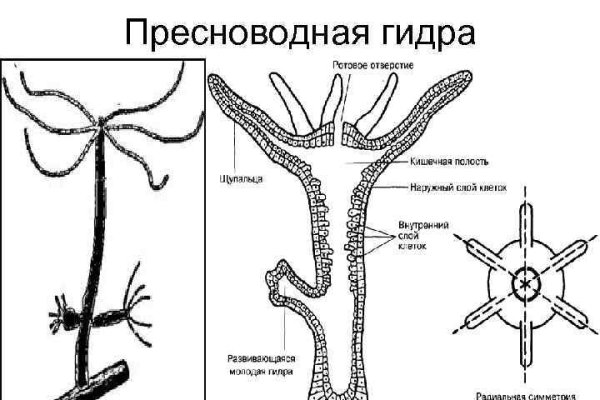 Мега площадка в даркнете